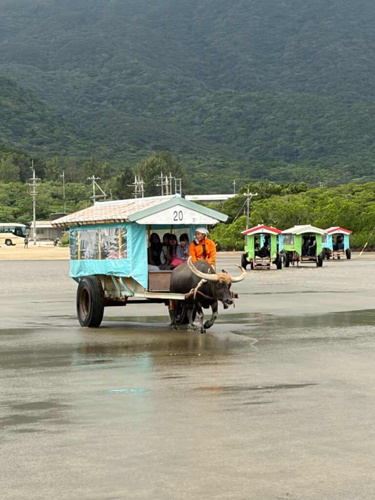 79回生　特進　修学旅行記